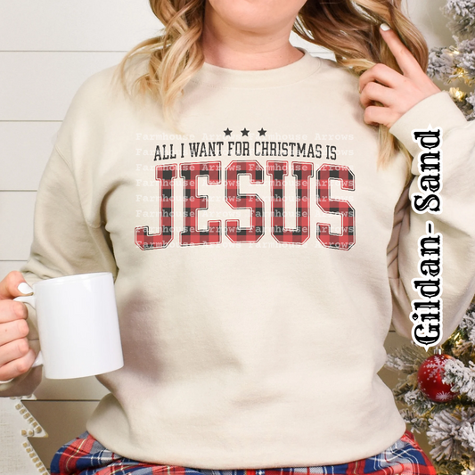 All I Want For Christmas is Jesus